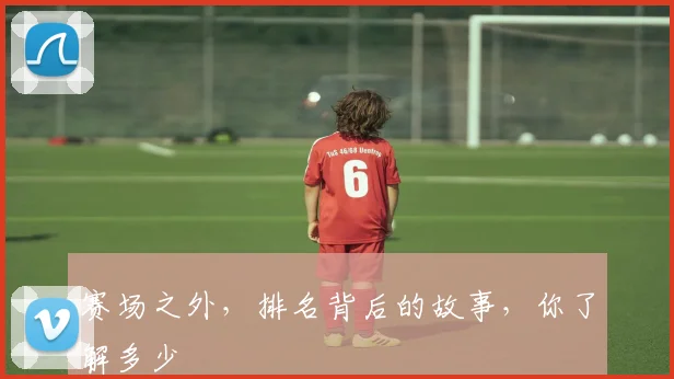 赛场之外,排名背后的故事,你了解多少