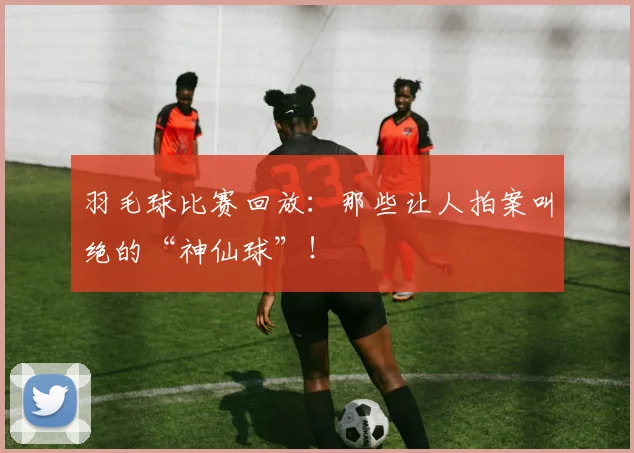 羽毛球比赛回放：那些让人拍案叫绝的“神仙球”！