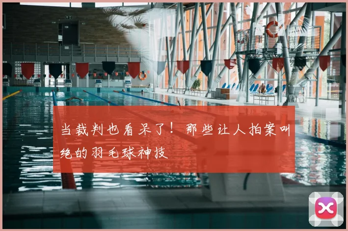 当裁判也看呆了!那些让人拍案叫绝的羽毛球神技