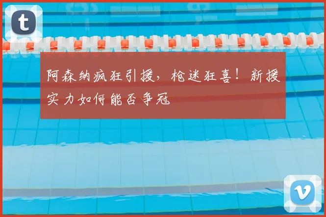 阿森纳疯狂引援，枪迷狂喜！新援实力如何能否争冠