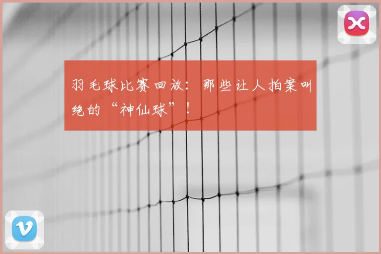 羽毛球比赛回放:那些让人拍案叫绝的“神仙球”!