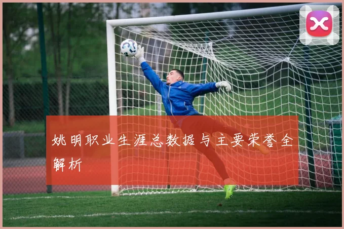 姚明职业生涯总数据与主要荣誉全解析